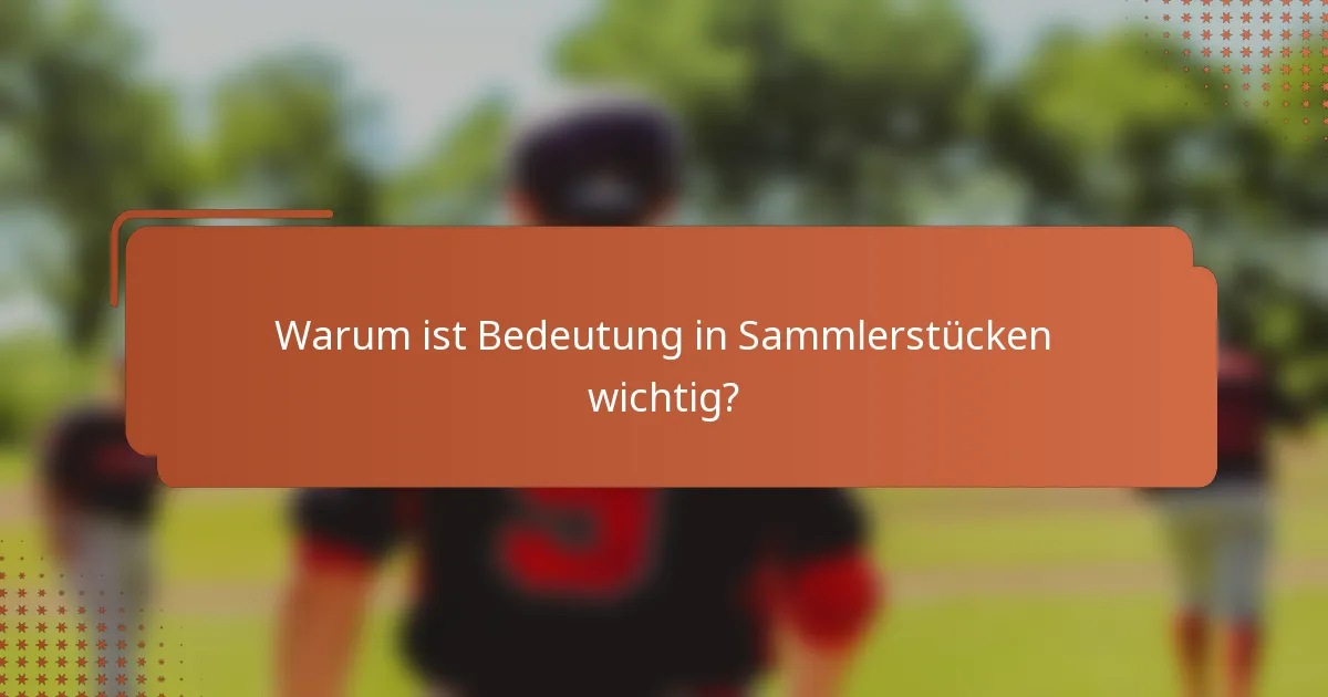 Warum ist Bedeutung in Sammlerstücken wichtig?