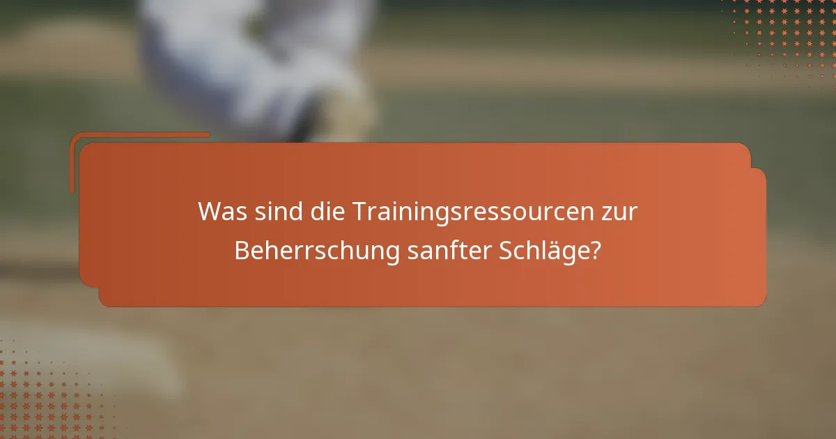 Was sind die Trainingsressourcen zur Beherrschung sanfter Schläge?