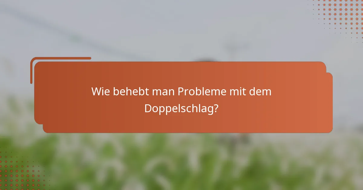 Wie behebt man Probleme mit dem Doppelschlag?